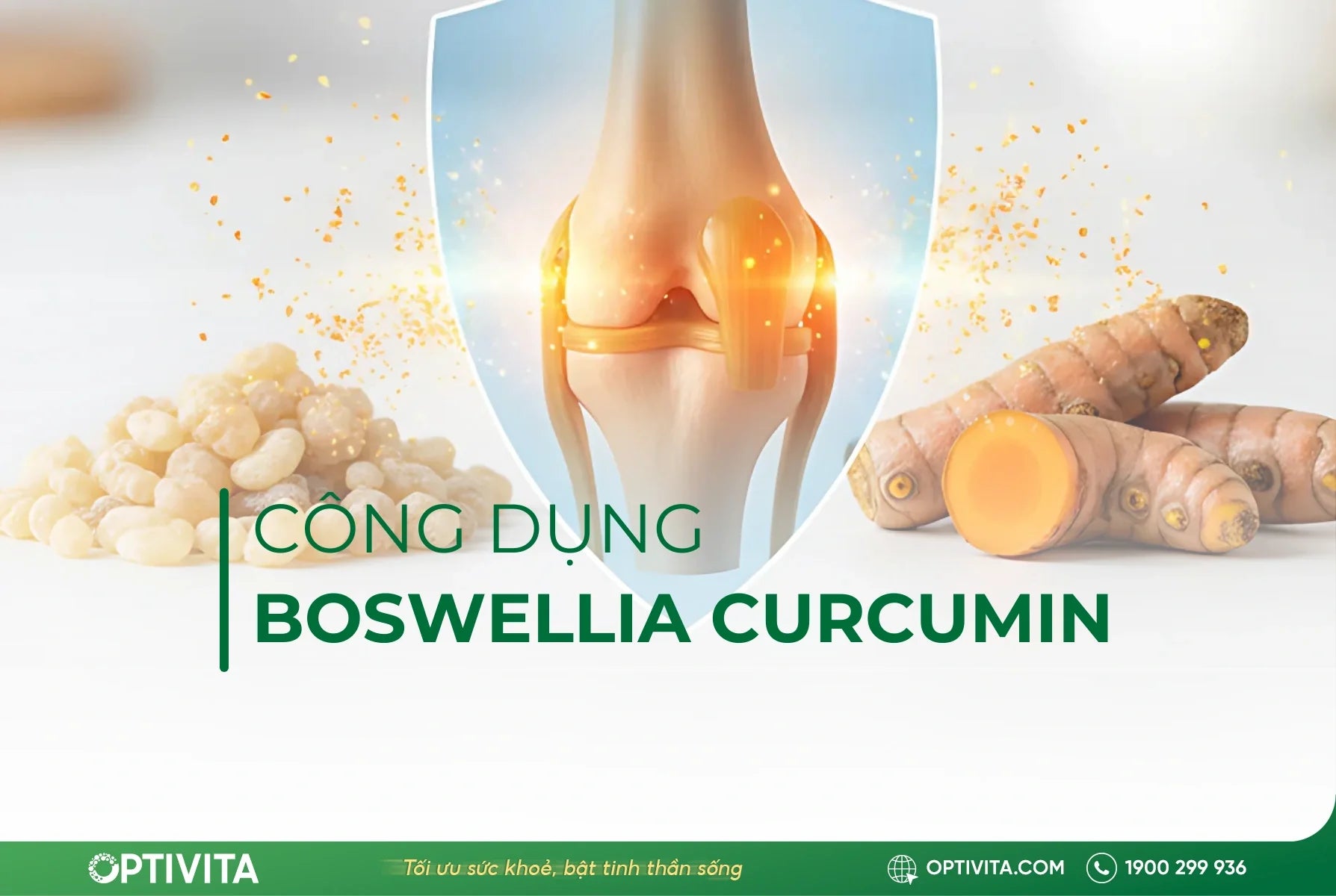 Boswellia Curcumin: "Bộ đôi vàng" cho sức khỏe xương khớp khỏe mạnh