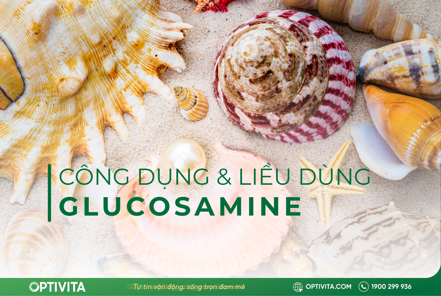 Glucosamine là gì? Cẩm nang sử dụng Glucosamine từ A-Z