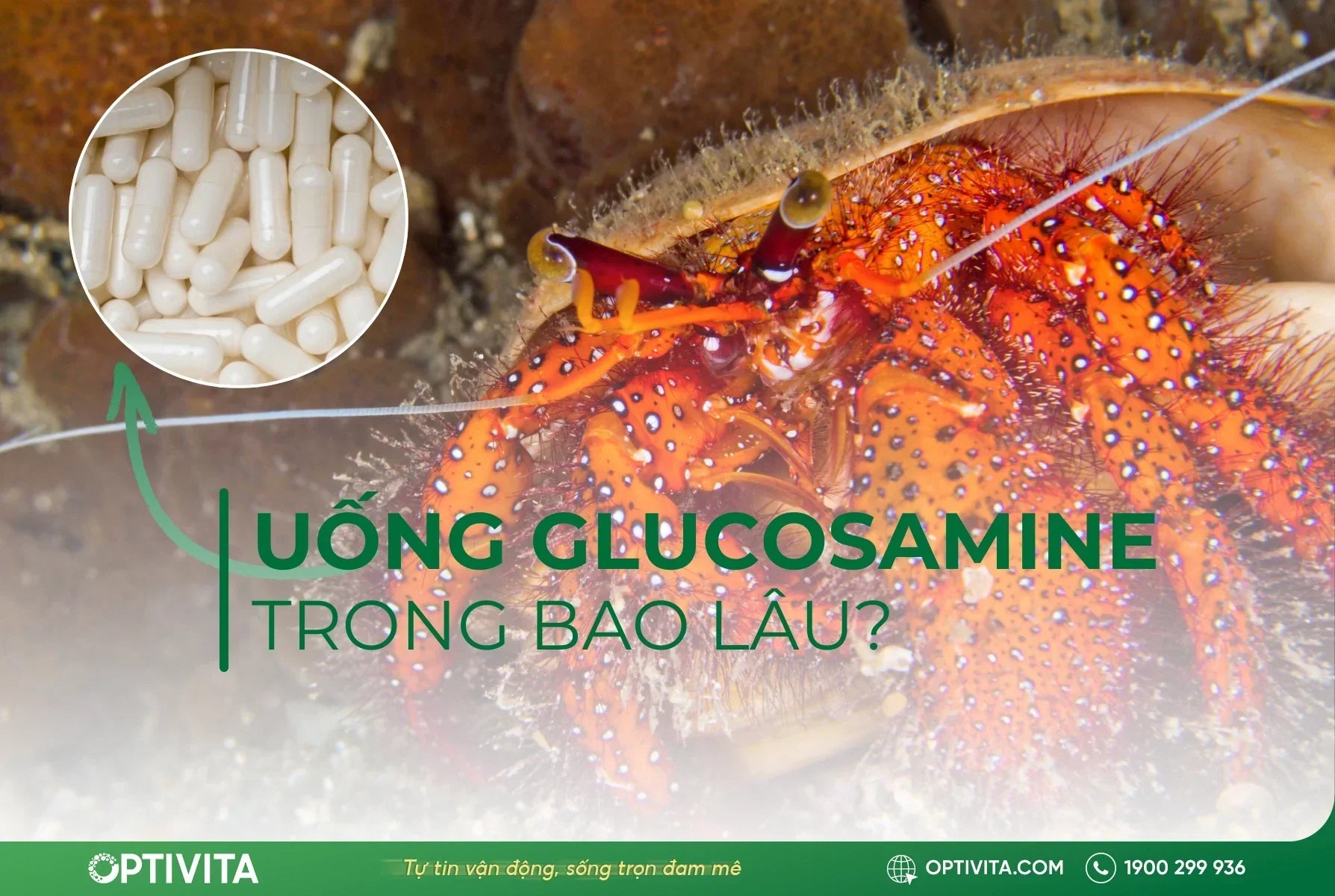 Nên uống glucosamine trong bao lâu để hiệu quả